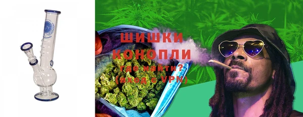 стаф Инсар