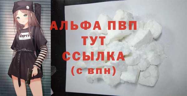 стаф Инсар