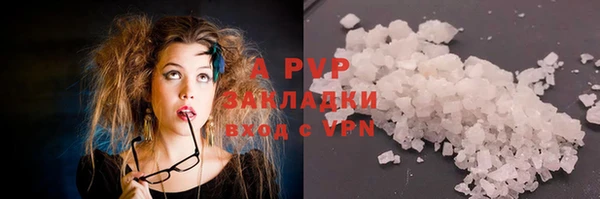 стаф Инсар