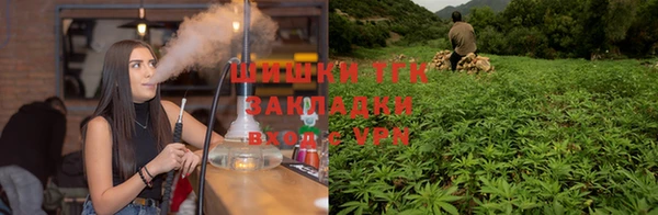стаф Инсар