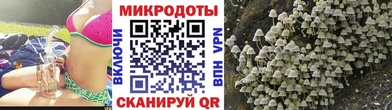 Псилоцибиновые грибы GOLDEN TEACHER  Купить  Туринск 